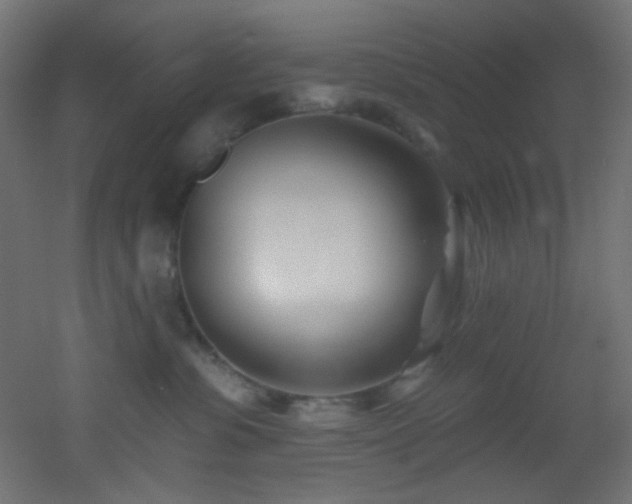 X0000053160331200507111514