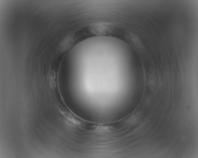 X0000053160332200507111514