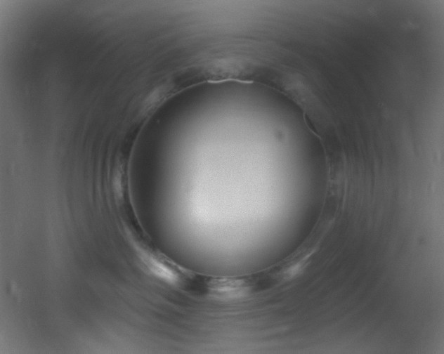 X0000053160334200507111514