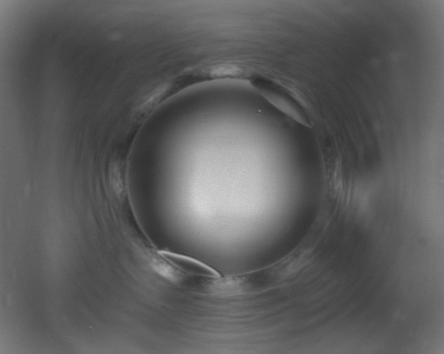 X0000053160335200507111514