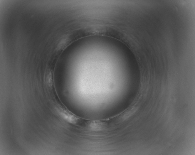 X0000053160336200507111514