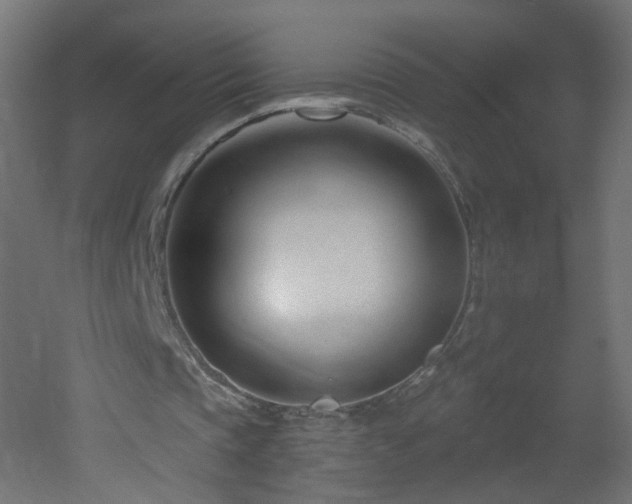 X0000053160337200507111513
