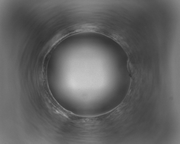 X0000053160338200507111513