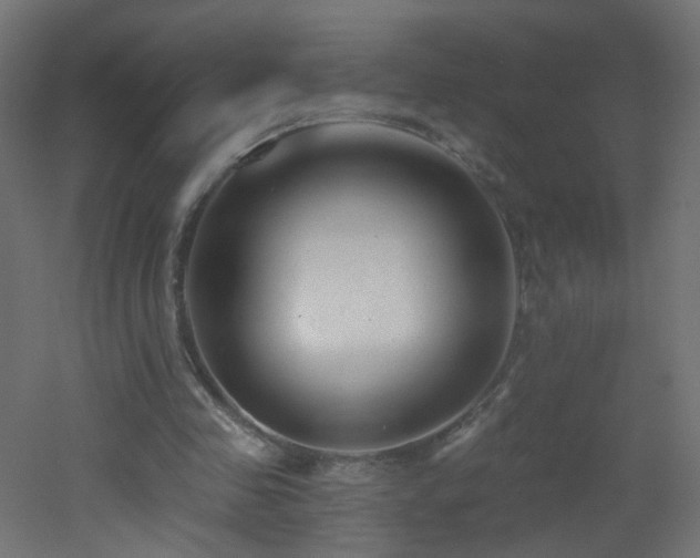 X0000053160341200507111513