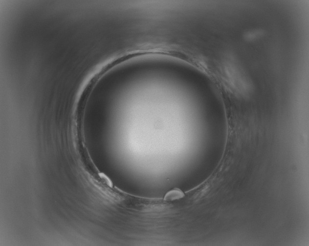 X0000053160342200507111513
