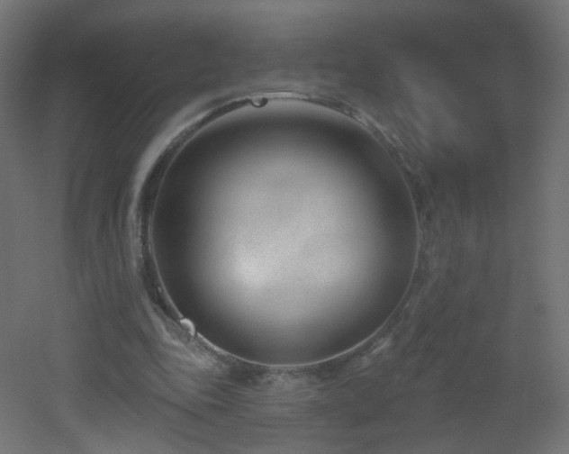 X0000053160343200507111513