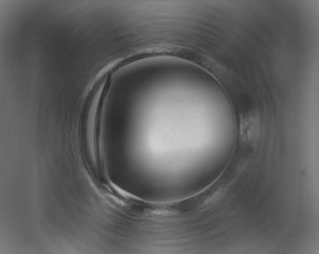 X0000053160348200507111513