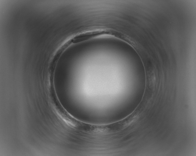 X0000053160350200507111513