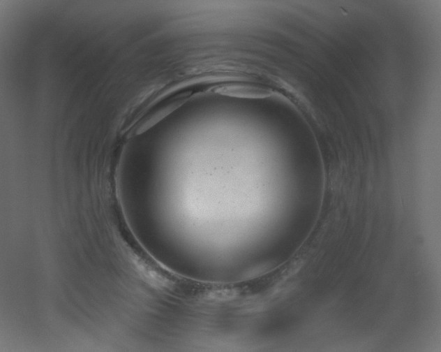 X0000053160353200507111513