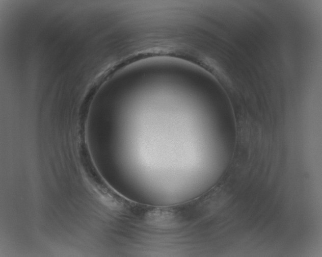 X0000053160354200507111513