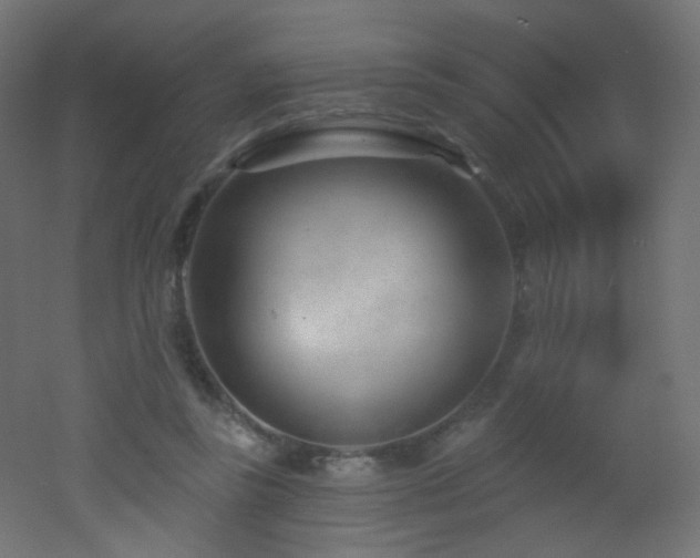 X0000053160355200507111513