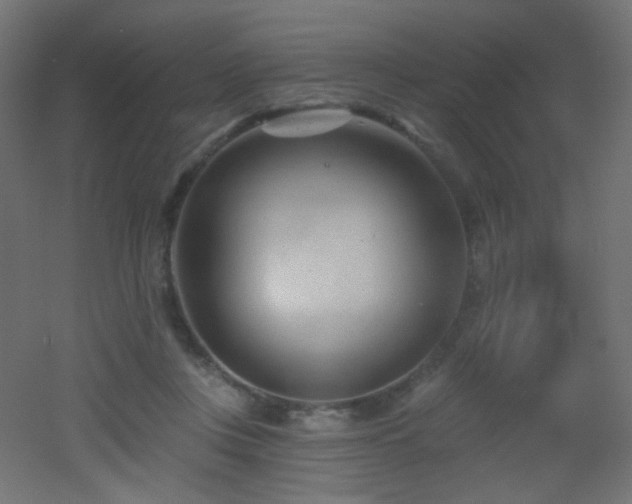 X0000053160359200507111513