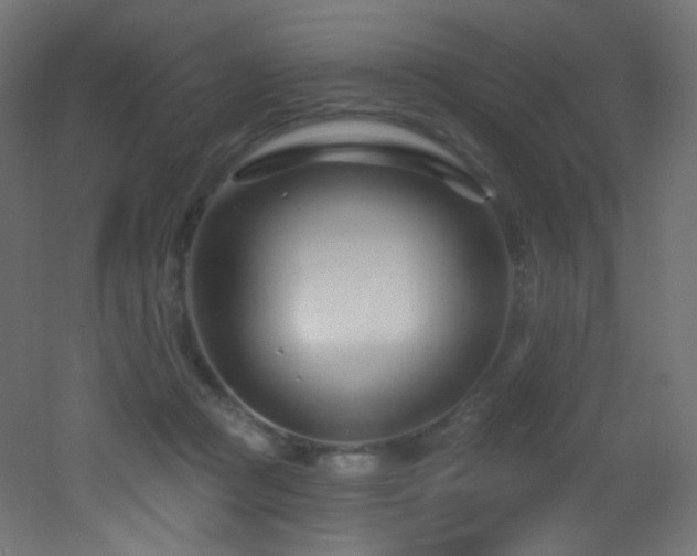 X0000053160361200507111513