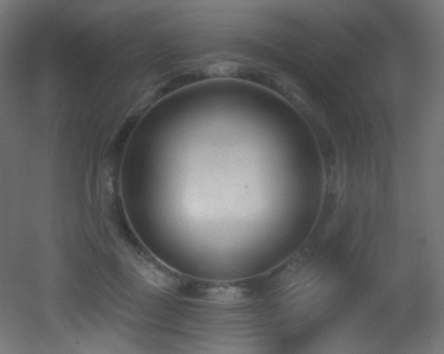 X0000053160363200507111513