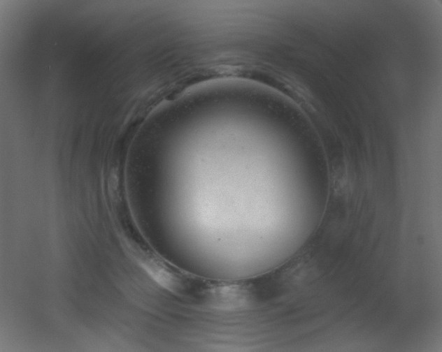 X0000053160365200507111513