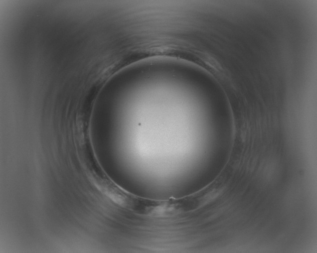 X0000053160366200507111513