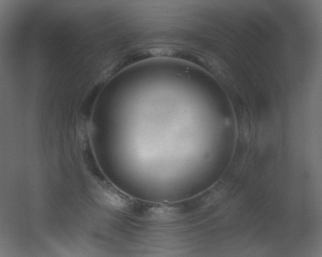 X0000053160367200507111513