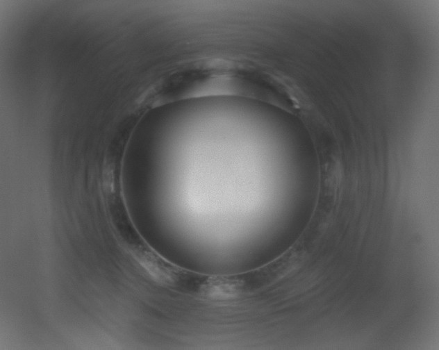 X0000053160368200507111513