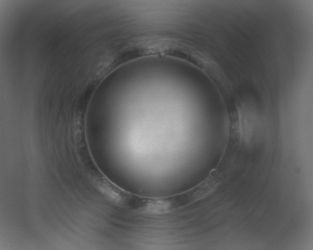 X0000053160369200507111513