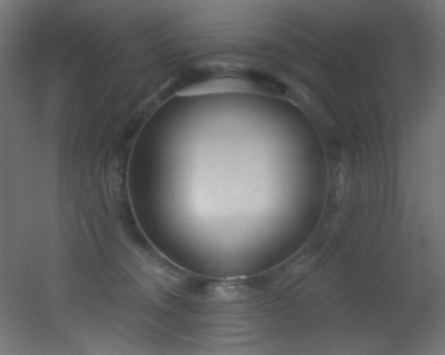 X0000053160372200507111513