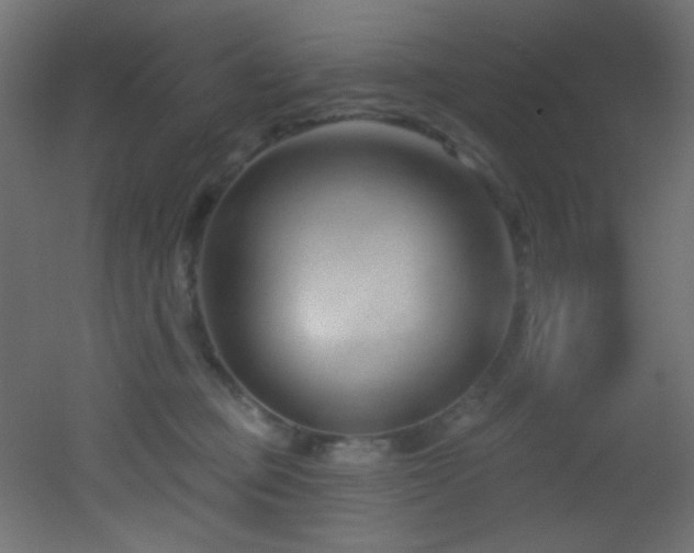 X0000053160373200507111514