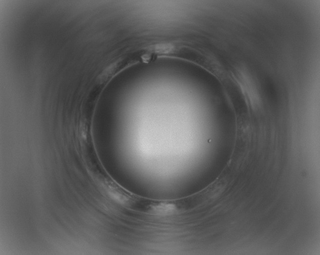 X0000053160374200507111514