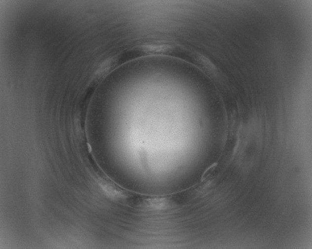 X0000053160377200507111514