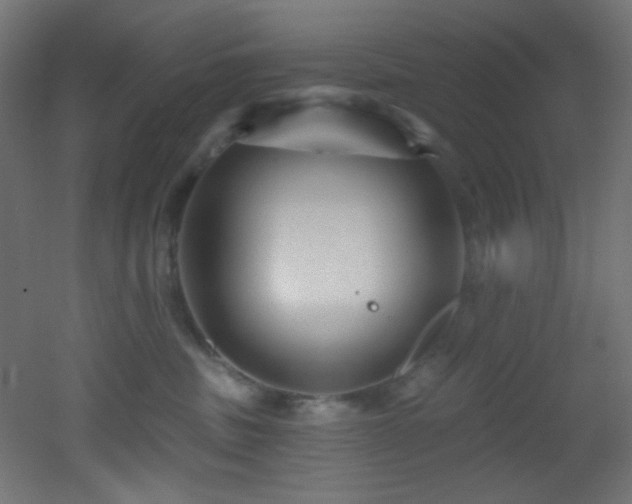 X0000053160379200507111514