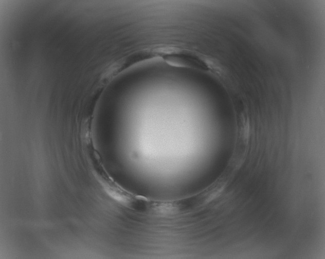 X0000053160383200507111514