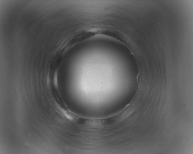 X0000053160384200507111514