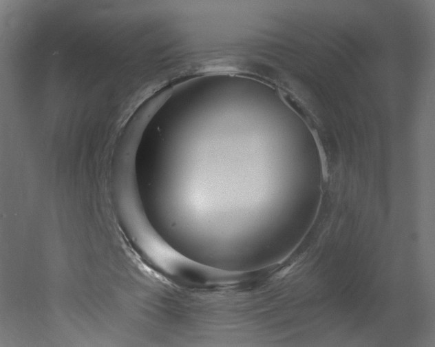 X0000053160385200507111513