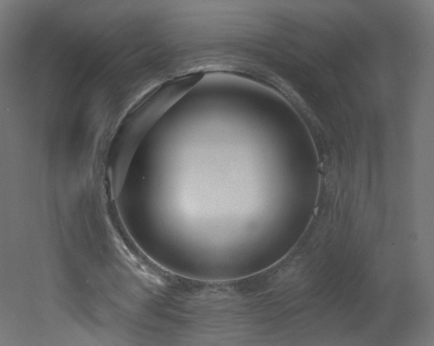 X0000053160386200507111513