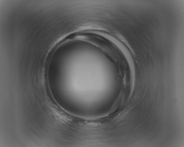 X0000053160387200507111513