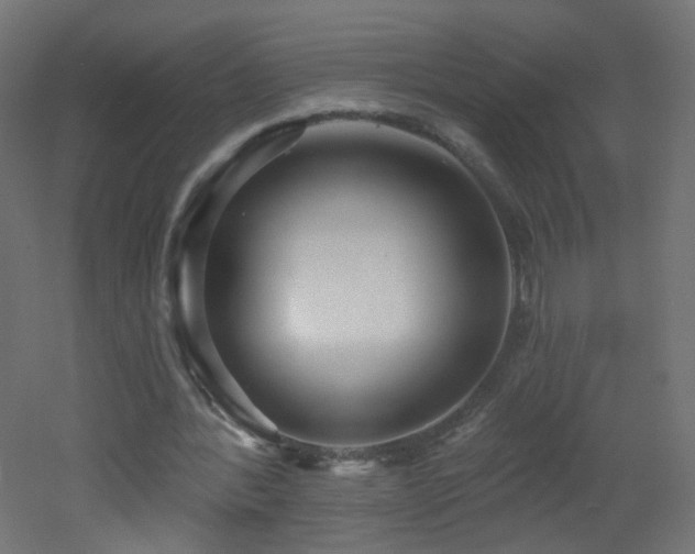 X0000053160388200507111513