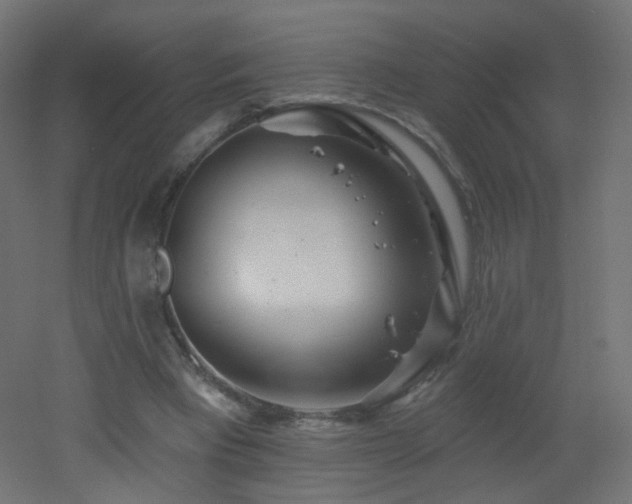 X0000053160393200507111513