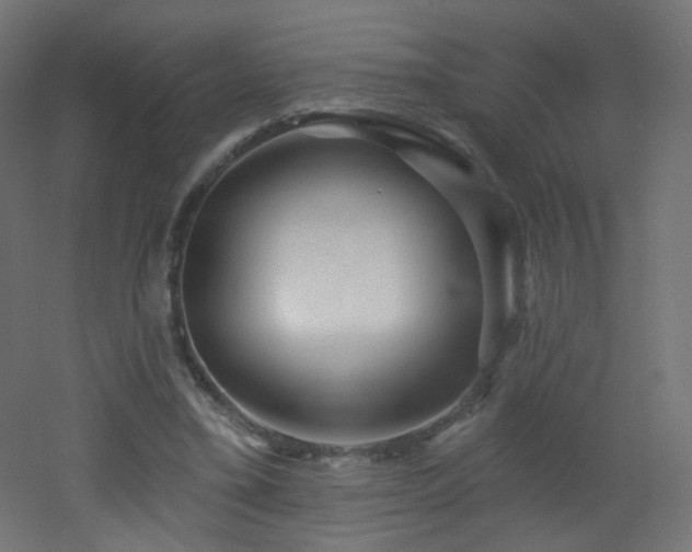 X0000053160395200507111513