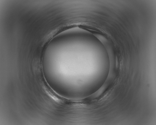 X0000053160397200507111513