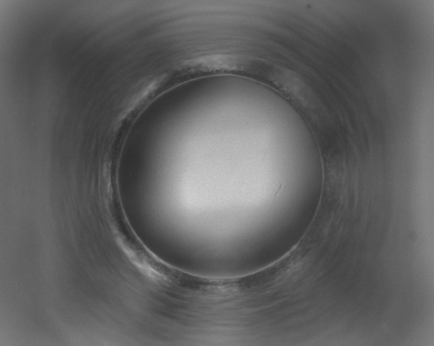 X0000053160398200507111513
