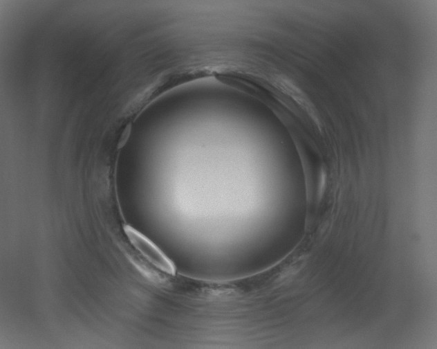 X0000053160401200507111513