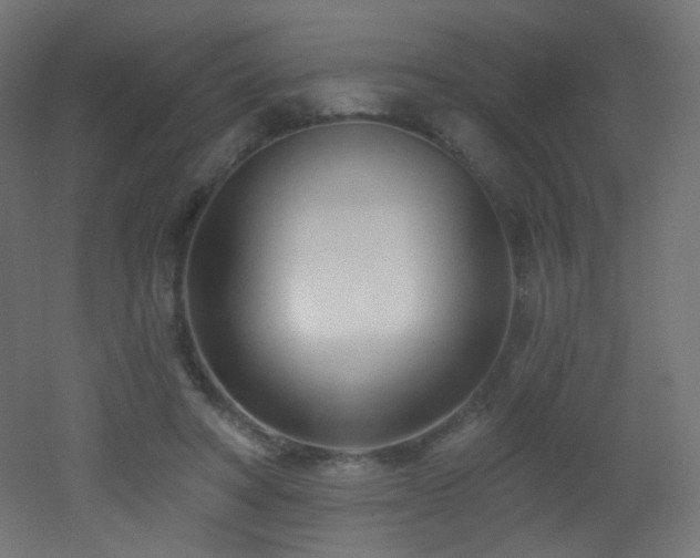 X0000053160402200507111513