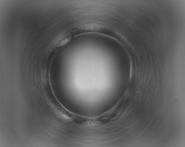 X0000053160403200507111513