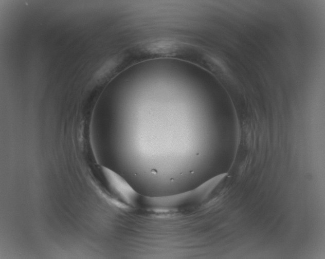 X0000053160404200507111513