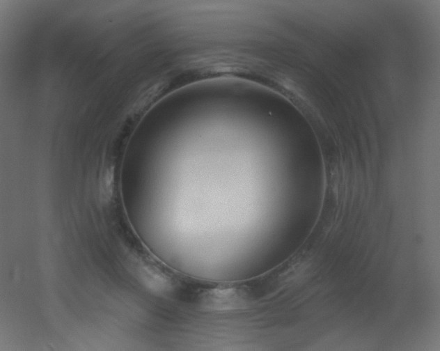 X0000053160406200507111513