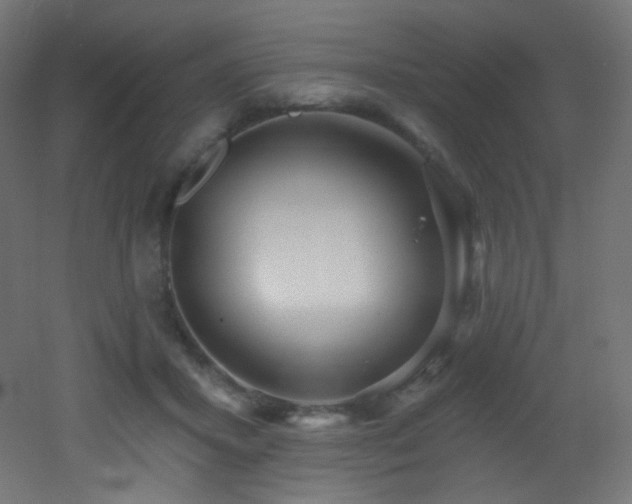 X0000053160407200507111512