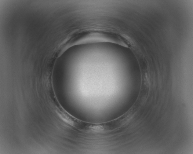 X0000053160409200507111512