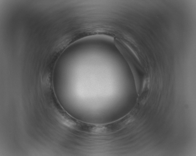 X0000053160410200507111512