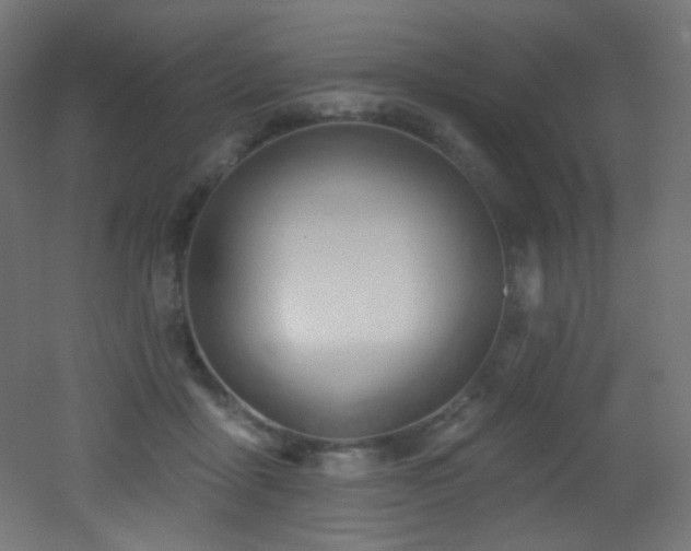 X0000053160411200507111512