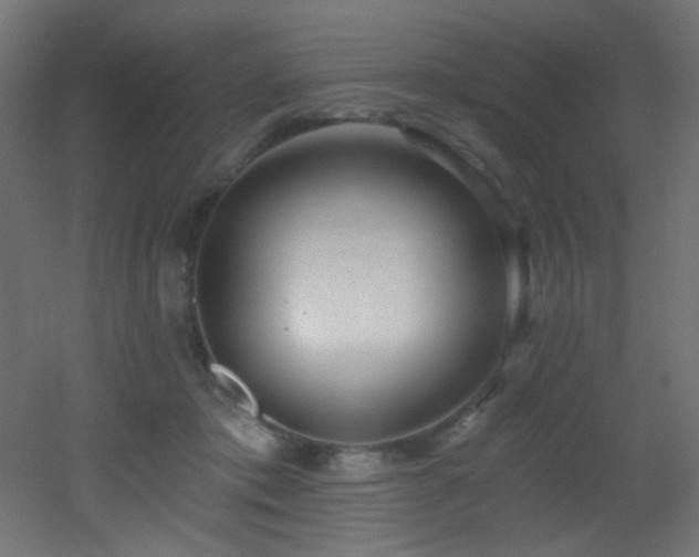 X0000053160413200507111512