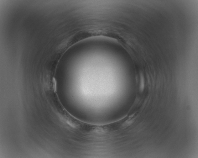 X0000053160416200507111512