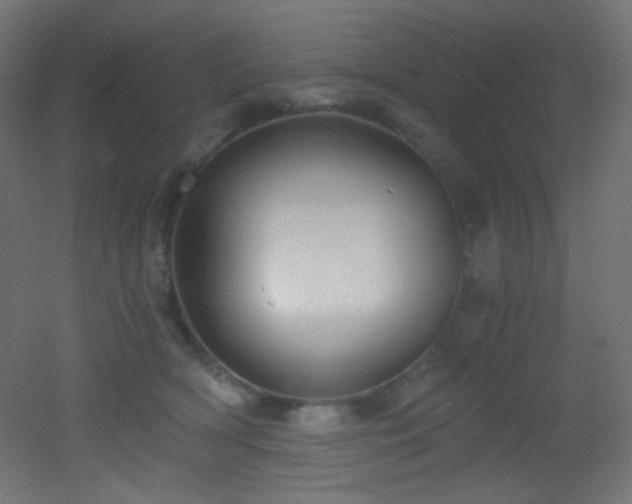 X0000053160418200507111512